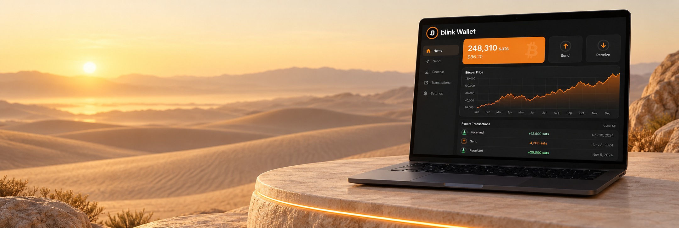 Blink Wallet com gráfico no ecrã do laptop